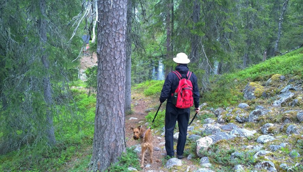 wandelen in finland